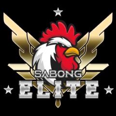 team bagua sabong